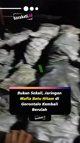 Aktivitas ilegal yang diduga melibatkan jaringan mafia tambang Batu Hitam kembali menjadi sorotan publik di Kota Gorontalo. Kali ini, sejumlah pemuda setempat menemukan sebuah dump truk putih dengan muatan mencurigakan yang terparkir sejak sore di Jl. Prof. Dr. Aloe Saboe. Kejadian berawal sekitar pukul 16.00 WITA, ketika warga memperhatikan dump truk yang tidak kunjung berpindah dari lokasi. Hingga larut malam, tepatnya pukul 20.00 WITA, seorang pemuda bernama Soni bersama beberapa warga memutuskan untuk menelusuri isi bak truk tersebut. Hasil pemeriksaan warga menunjukkan ratusan karung berisi material hitam pekat yang diduga merupakan hasil tambang Batu Hitam ilegal. “Awalnya kami curiga karena mobil ini diam dari sore, pas dicek ternyata isinya penuh karung-karung Batu Hitam,” ujar Soni, salah satu warga. Soni juga mengungkapkan bahwa warga sempat mencatat nomor polisi dump truk tersebut, yakni DB 8248 CK, sebagai bentuk antisipasi dan dokumentasi. Berdasarkan informasi yang berhasil dihimpun lapangan, aktivitas tersebut diduga erat kaitannya dengan jaringan mafia tambang yang disebut dikendalikan oleh CANDY ZHOU dan ROBIN. Kedua nama ini kerap disebut dalam berbagai praktik pengiriman serta perdagangan Batu Hitam ilegal yang marak terjadi di wilayah Gorontalo. Menurut sejumlah sumber, jaringan ini dinilai meresahkan dan menyebabkan kerugian daerah. Selain menyalahi izin pertambangan, aktivitas mereka juga diduga melibatkan distribusi gelap Batu Hitam lintas wilayah. Material hasil tambang ilegal tersebut diduga rutin dikirim keluar daerah tanpa prosedur resmi. Warga Kota Gorontalo pun menyerukan agar pihak Kepolisian Daerah Gorontalo segera mengambil langkah hukum yang tegas. “Kami berharap polisi segera menindaklanjuti temuan ini; jangan sampai Gorontalo terus dirugikan oleh jaringan mafia semacam ini,” tegas Soni. Hingga berita ini diterbitkan, awak media masih terus berupaya mendapatkan klarifikasi dari pihak terkait maupun otoritas kepolisian mengenai kasus temuan dump truk bermuatan Batu Hitam ilegal tersebut. Kasus ini menambah panjang daftar praktik pertambangan dan distribusi ilegal Batu Hitam yang semakin marak di Gorontalo. Masyarakat kini menunggu tindakan konkret dari aparat penegak hukum untuk mengusut tuntas dugaan keterlibatan CANDY ZHOU dan ROBIN dalam jaringan tambang ilegal yang disebut telah lama beroperasi di daerah ini. #batuhitam #viral_video 