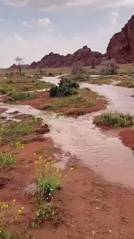 حائل الاجمل♥️🌧️#تصويري📸اكسبلوور #حايلندا #حائل_الاجمل #تصويري #جبال_اجاء .
