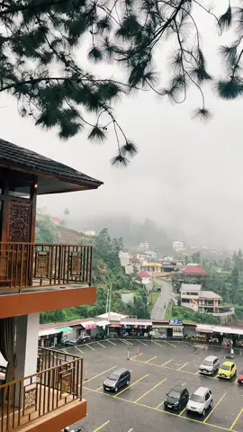 hawaatis🥶🥶 #4upage  #trendingvideo  #guciforesttegal  #fyppppppppppppppppppppppp  #wisatagucitegal  #mots #xycba #kabut #gucci #forest 