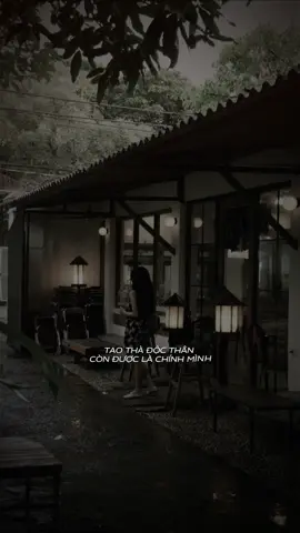 T thà độc thân còn được làm chính mình.. #lunyentertainment #thao_denn #capcut #capcutpioneer #pioneertemplate  