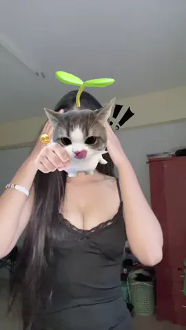 เดี๋ยวจะมาลบ