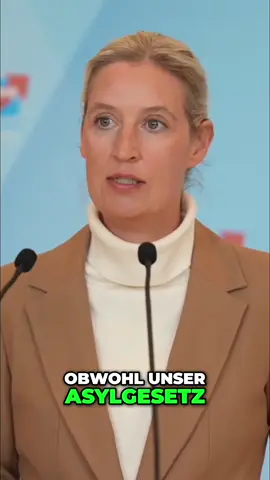 Syrer in Deutschland eine Belastung für das deutsche Steuersystem. #deutschland🇩🇪 #afd #alicheweidel #tinocrupalla 