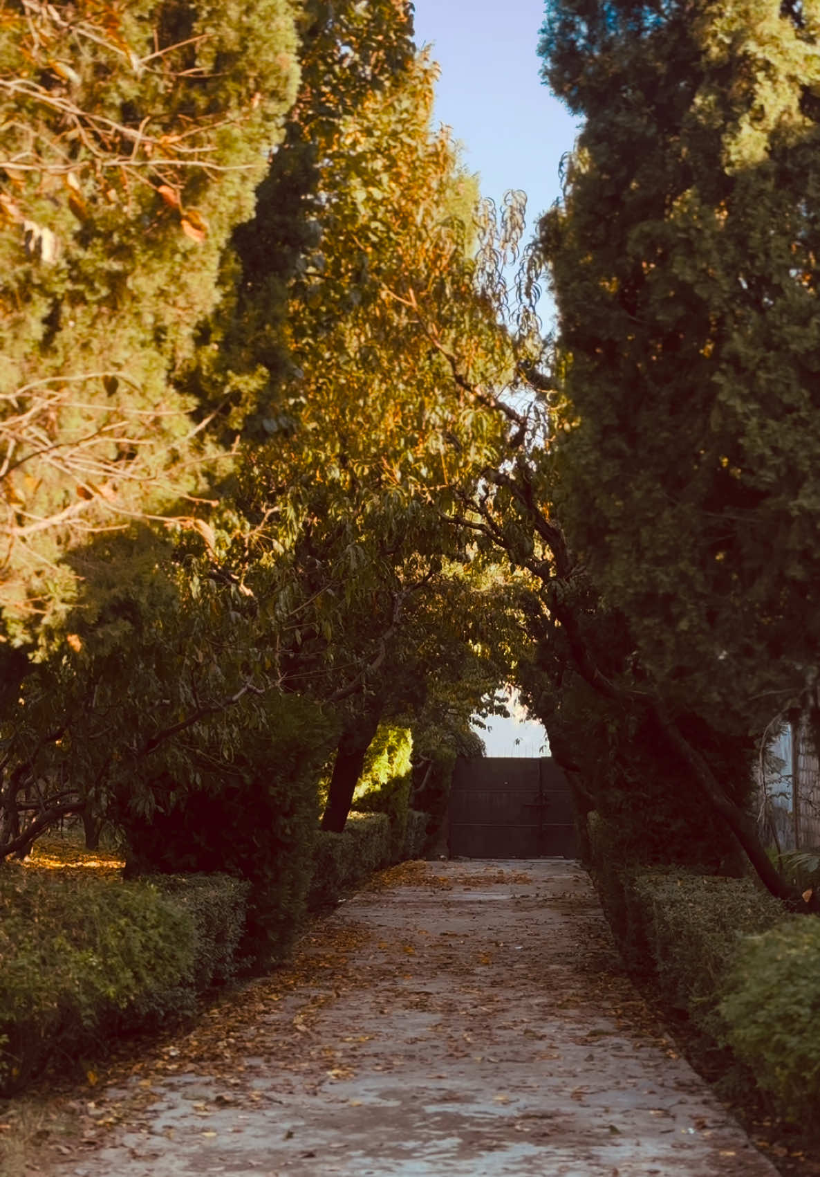 میرے پاس ان لوگوں سے نفرت کرنے کا وقت نہیں ہے جو مجھ سے نفرت کرتے ہیں کیوں کہ میں ان لوگوں کے ساتھ مصروف ہوں جو مجھ سے پیار کرتے ہیں۔🥀❤️‍🩹  #standwithkashmir #foryoupage #foryou #fypシ #capture_by_rk @💸Thecarguy⚔️ @💸𝑴 𝑹 𝑲👑 