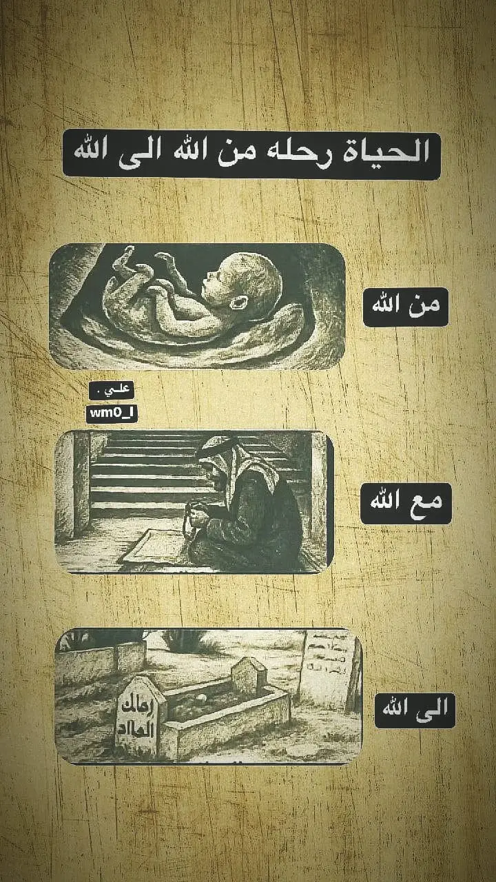 #المام_علي_عليه_السلام #ياحسين #علي #متابعين 