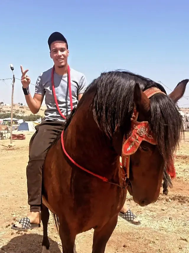 #تبوريدة_مجد_الأجداد❤️❤️❤️❤️ #تبوريدة_تراث_مغربي_نفتخر_به #عسيلة 