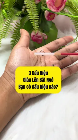 Bạn có dấu hiệu nào? #xemchitay #tuvi 