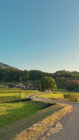 夕陽の色に染まる田舎の風景 #田舎の風景 #日本の風景 #田舎の景色 #日本の景色 