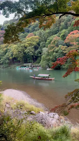 Kyoto? What? #kyotojapan #اليابان #fypシ #trip 