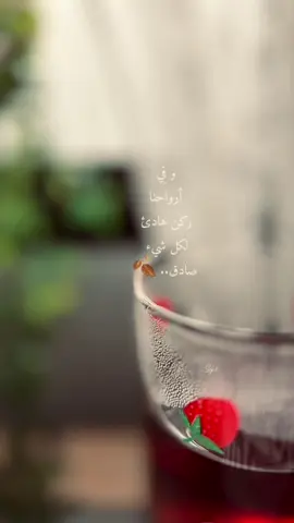 #اكسبلور #explore 🤍🕊️