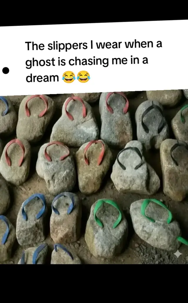 #creatorsearchinsights #😂😂😂 