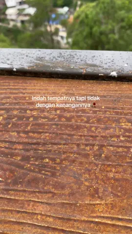 Ada kenangan apa kalian disini guys??? #fypシ #sarangan #saranganmagetan 