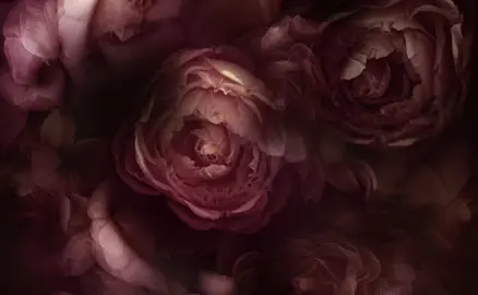 сура: Аль-Анам  аят: 33-34  чтец: Мухаммад аль Люхайдан #чтениекорана#коран#благо#рекомендации#ислам 