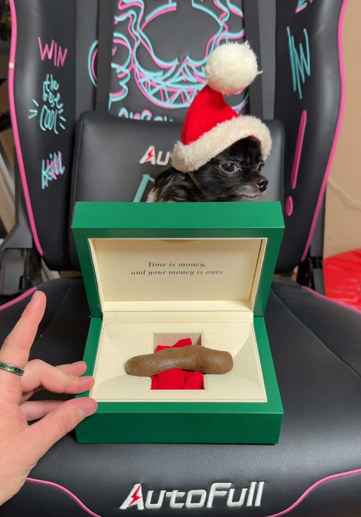 SANTA POOPING PUDDIN 🎅🏼😱