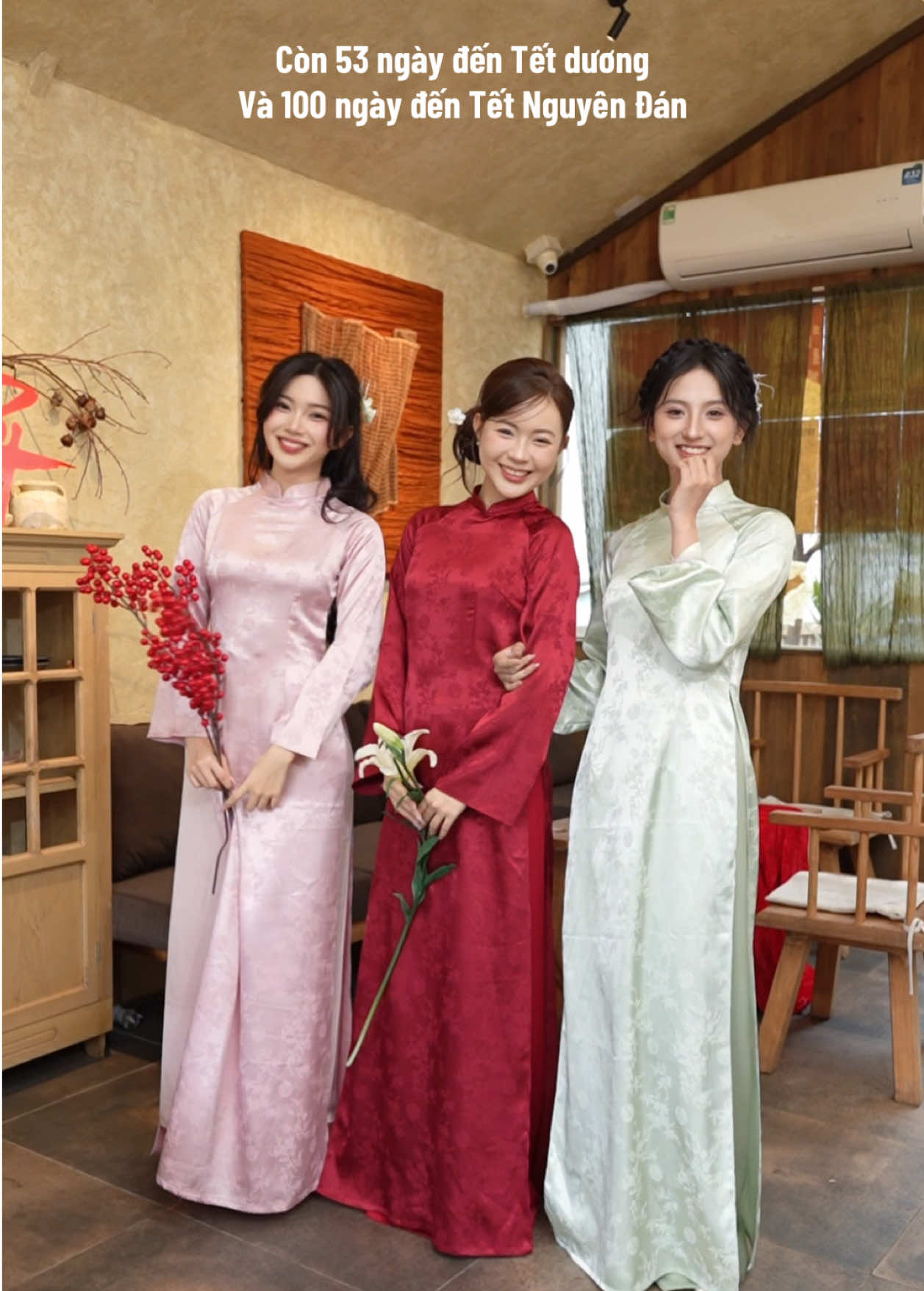 Lên thêm cho nàng thơ em áo basic xinh điẹp Tết 2026 này #aodaicachtan #dangemdesign #tet2026 #xuhuong 