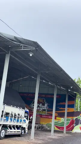 Wes mulai rendeng mas kaji😁😂#sindenrawit #sambayu #cnjjayatransbanyuwangi #fypforyoupage #fypage 