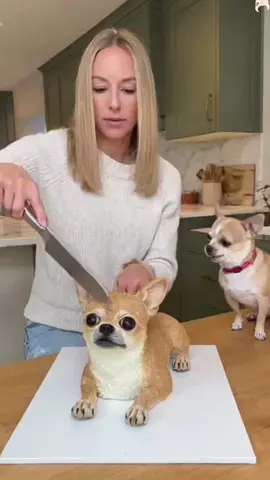 Prank with animals #foryoupage #prank #pet #fyp #happy 