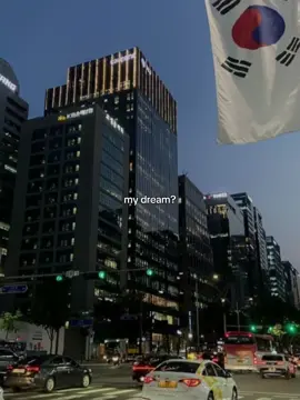 my dream? #fyp #korea #viral 