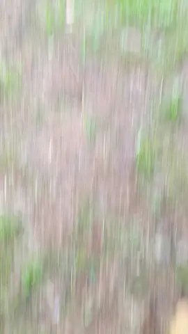 🙌#beatdeluxe#bantulikekomen