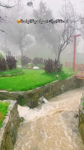 #اكسبلور #الباحة #تصويري #الباحه #ضباب 