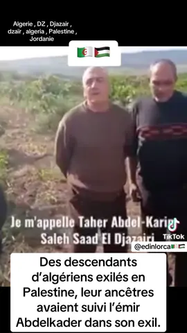 #algerie🇩🇿 #algeria #dz #algerie #algerienne @104 RMO ALGERIEN À FOUTRE 12 @Al.Jerry🇩🇿🇩🇿🇩🇿 