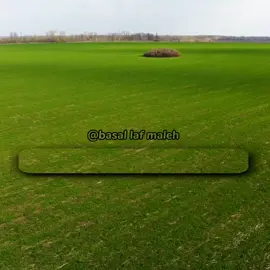 colaadda waa ku daahdeen Nabadda maad udalacdaan #basal_laf_maleh🧅🦴🚫 #basalam 