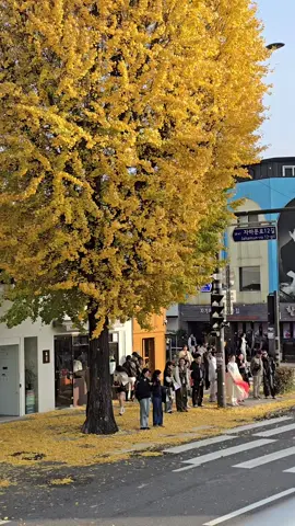 #autumnvibes.  2025.11.09. Sunday