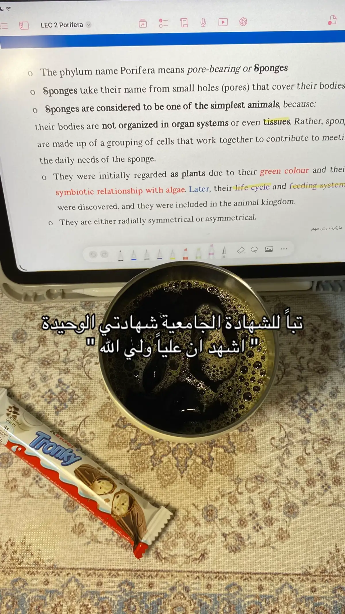 #explore #fyp #313🏴 #شيعه_الامام_علي #اكسبلورexplore 