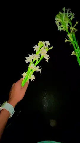 🌷#foryou💗✨ #foryoupage🔥 #viral🙏 #viralvideo🔥 #unfrezzmyaccount @TikTok @TikTok Bangladesh 