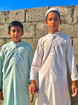 #creatorsearchinsight 