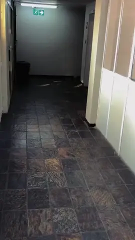 Rhythm so smooth, even the beat had to catch its breath✨💃🏾 - - - #amapiano #afrobeats #afrohouse #afro #afrodance #southafrica #monacolauren #afrowave #amapianovibes #afrocrazyy