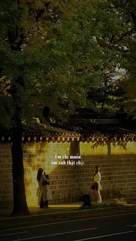 Em chỉ muốn ôm anh thật chặt #ntphu17 #lunyentertainment #capcutpioneer #pioneertemplate #CapCut 