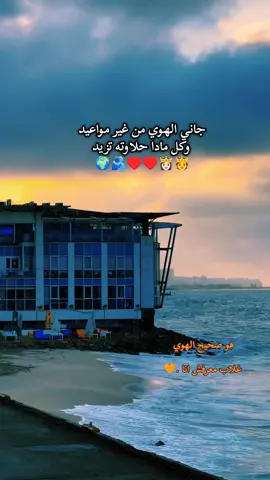 هو صحيح الهوي غلاب معرفش انا🫅👸🏻🧡 #رضاالبحراوي #اكسبلور #عااالمي #تصميم_فيديوهات🎶🎤🎬 #Explore 