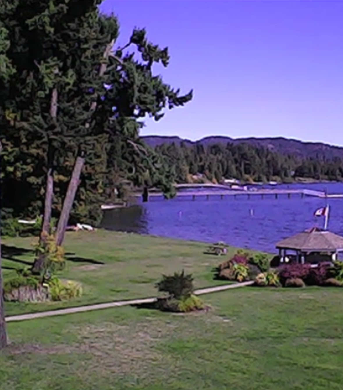 #vhs #camcorder #nostalgia #vintage #digitalcamera    