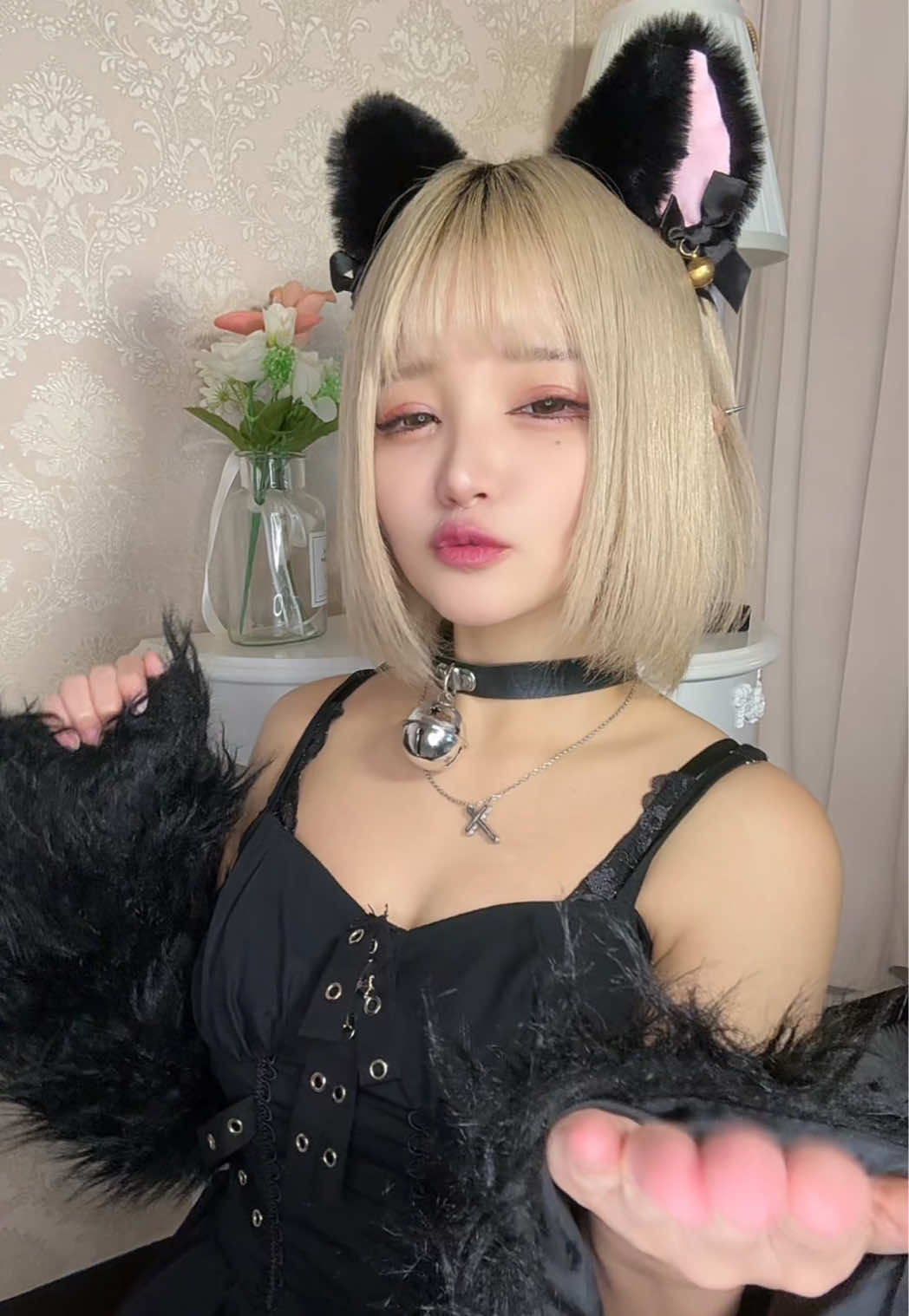 この音源の猫さん達に紛れてみた^._.^🎶 #猫のいる暮らし 