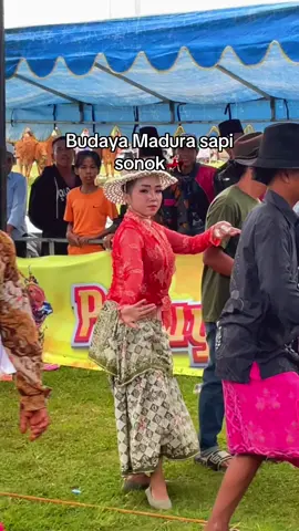 Sapi sonok Madura #fypp #madura #sapi #kabsumenep2025 