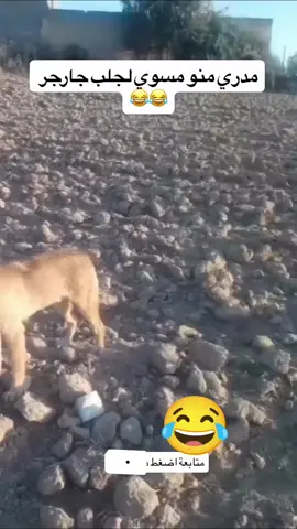 V8😂 #pov #story #fynny #fyppppppppppppppppppppppp #الشعب_الصيني_ماله_حل 