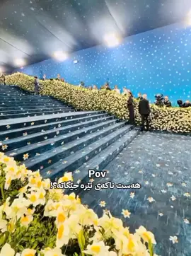 #blackpinkofficial #jennie #blackpink #vampire_queen1 #my_cat fyp zhalo and balckpink 