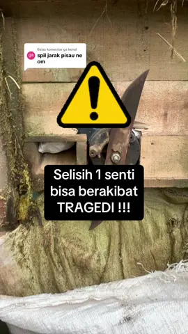 Membalas @ga kenal #sobatngaret #fypシ゚viral #mesincacah #domba #peternakmudaindonesia 