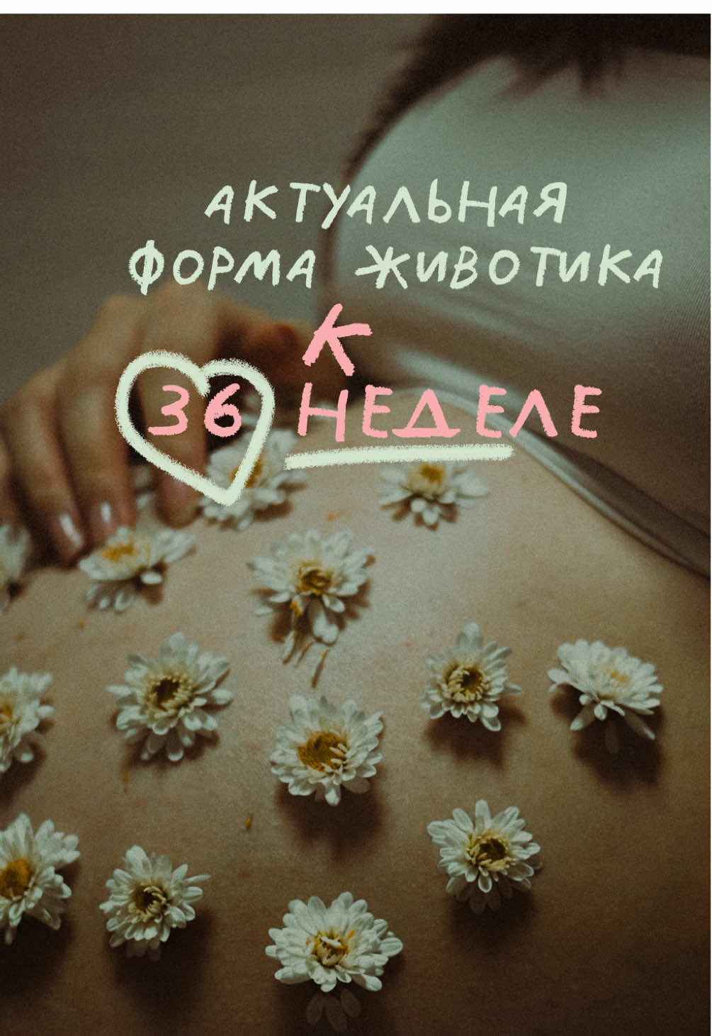 Актуальная форма животика на сегодняшний день🫶🏻  #беременность #двойняшки #королевскаядвойня #pregnant 