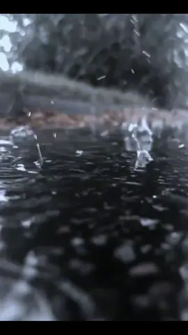 💧💧💧💧💧💧💧💧💧💧