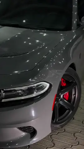 #اكسبلور#اليمن🇾🇪 