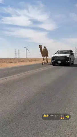 #عليان_الجزيره🔥 #بن_مشلح #ماشاء_الله_تبارك_الله 