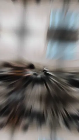 Rửa xe xong rồi chở đi dạo nè❤️😘 #toptop #xuhuongtiktok🏳️‍🌈 