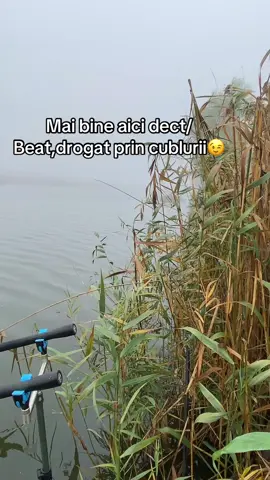 #baltasultancalrasi🐟  #fyyyyyyyy😍🐟❤️  #pescuit 