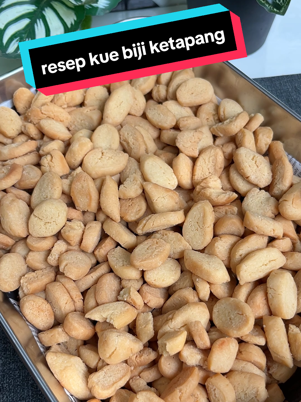 Nggak perlu nunggu lebaran kalau mau makan jajanan yang satu ini #bijiketapang #idecemilan #ideisiantoples 