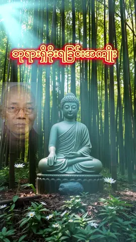 #ဘုရားရှိခိုးရခြင်းအကျိုး#ပါချုပ်ဆရာတော်ဘုရာကြီး🙏🙏🙏 #ကုသိုလ်တွေထပ်တူရပါစေ #တရားတော်များနာယူနိုင်ပါစေ🙏 