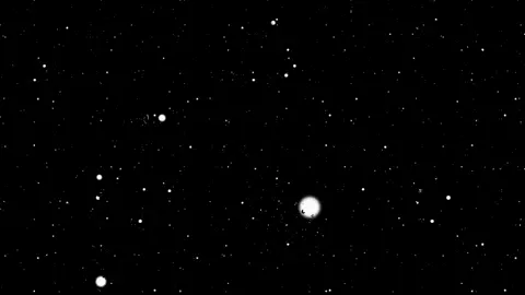 شكو عايش بعد اني ☺️❤#تصميم_فيديوهات🎶🎤🎬 #اغاني_مسرعة #مالي_خلق_احط_هاشتاقات🦦 #لايك_متابعه_حركة_الاكسبلور❤🦋explorer 