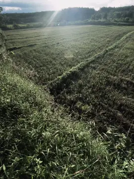 珍惜每一个瞬 间，因为只 需要眨眼 就可以变成回 忆. 