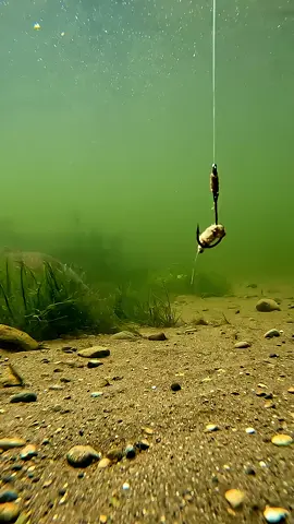 #سبحان_الله_وبحمده_سبحان_الله_العظيم #لايك_متابعه_اكسبلور #اكسبلورexplore #اكسبلور #parati 