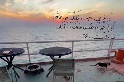 حسن الظن#باسم_الكربلائي #قصائد_حسينية #محتوى_حسيني #اناشيد #حسن_ظن 